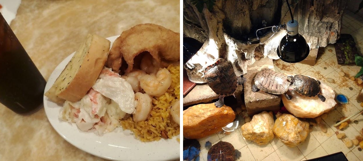 Hibachi Grill & Supreme Buffet